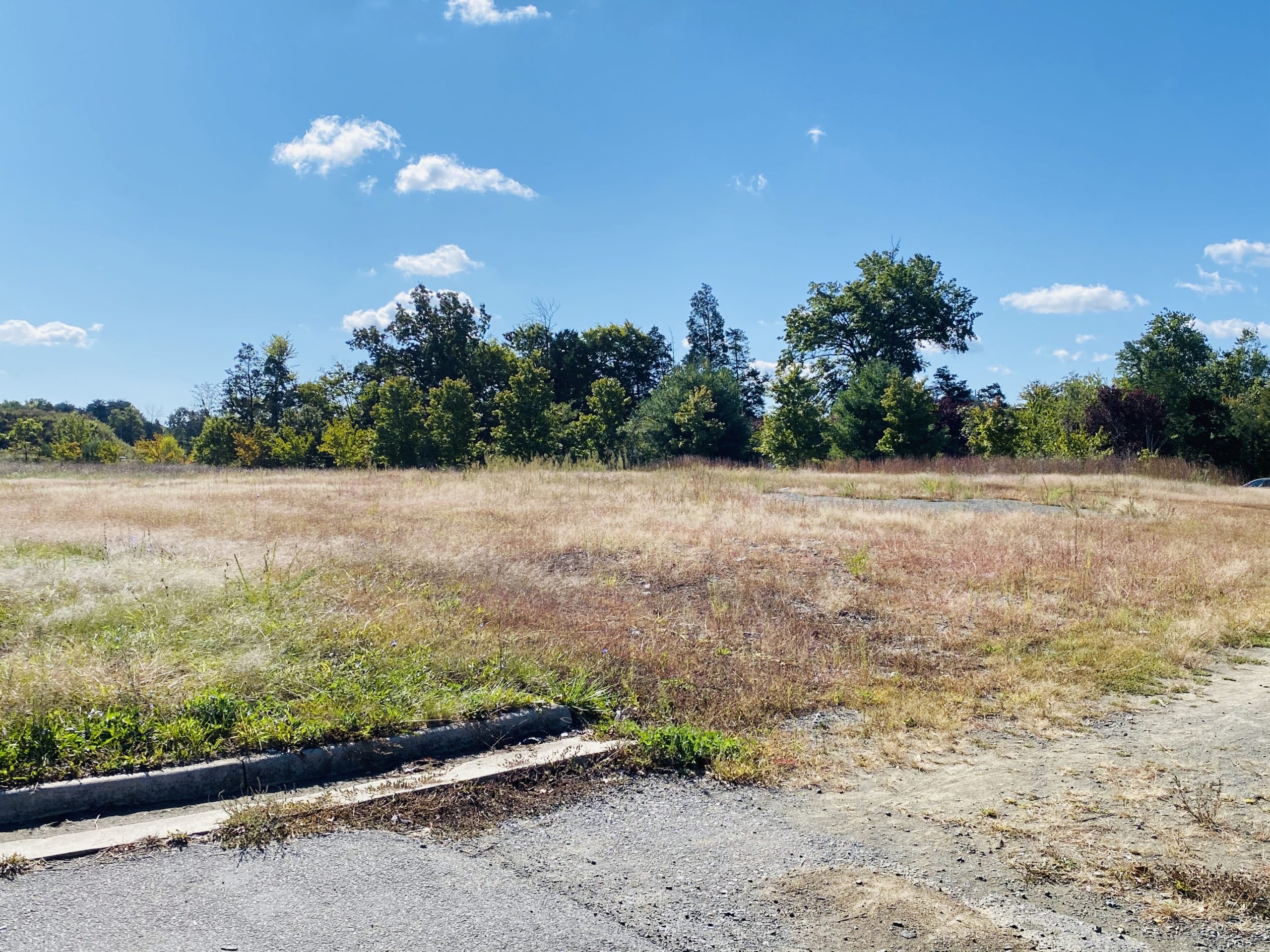 Leesburg Stein Mart to close by end of October - The Burn