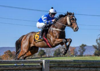 Largest steeplechase event in the country returns to Virginia this month