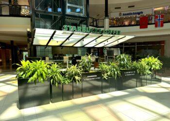 Burning Question: What’s up with the Starbucks at the Dulles Town Center?