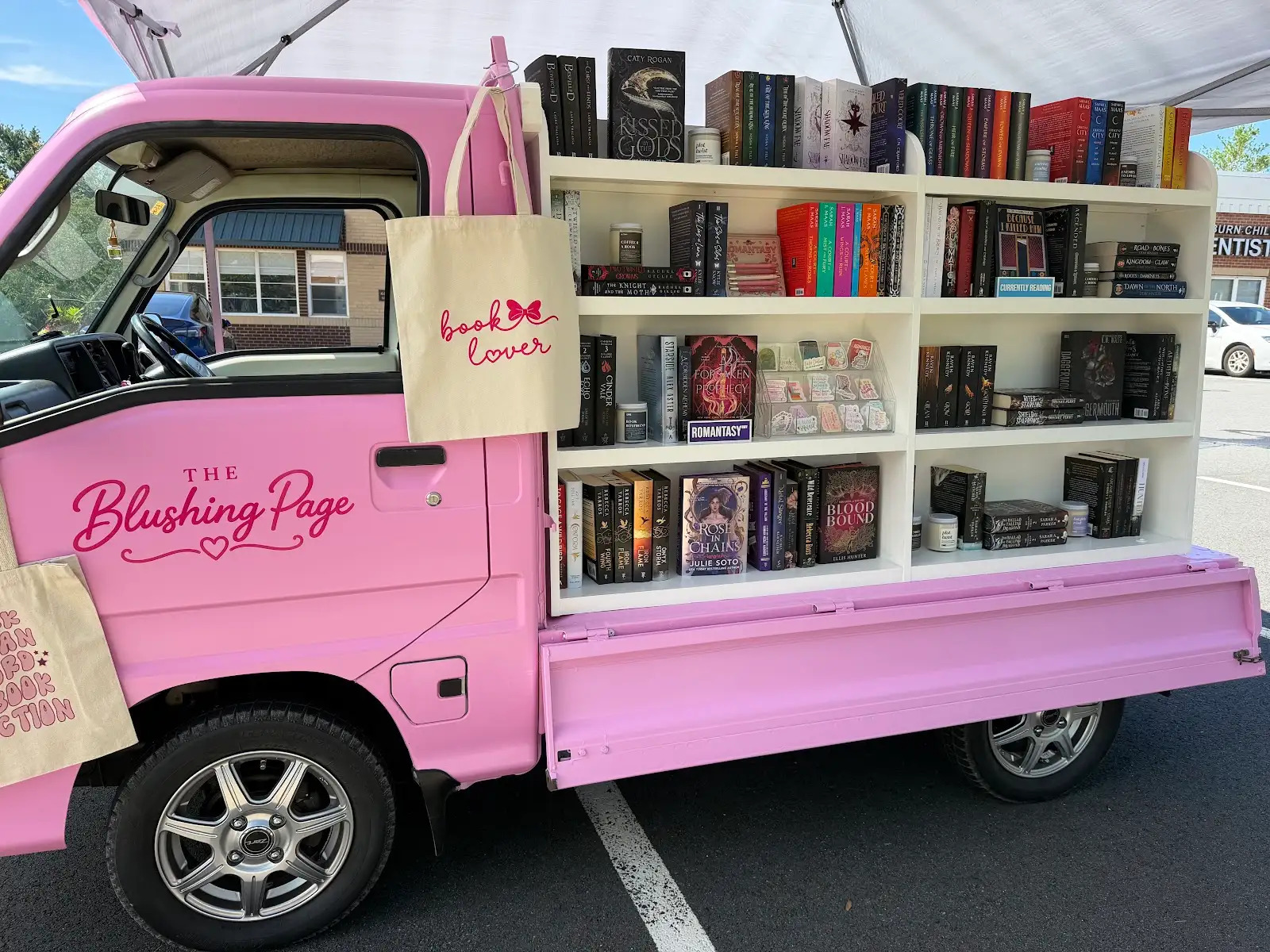 Ashburn woman creates mobile mini-bookstore